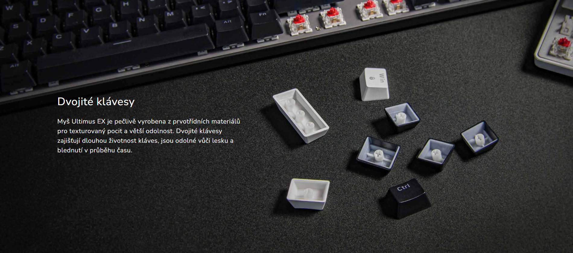 Snímek obrazovky 2026-03-30 134625